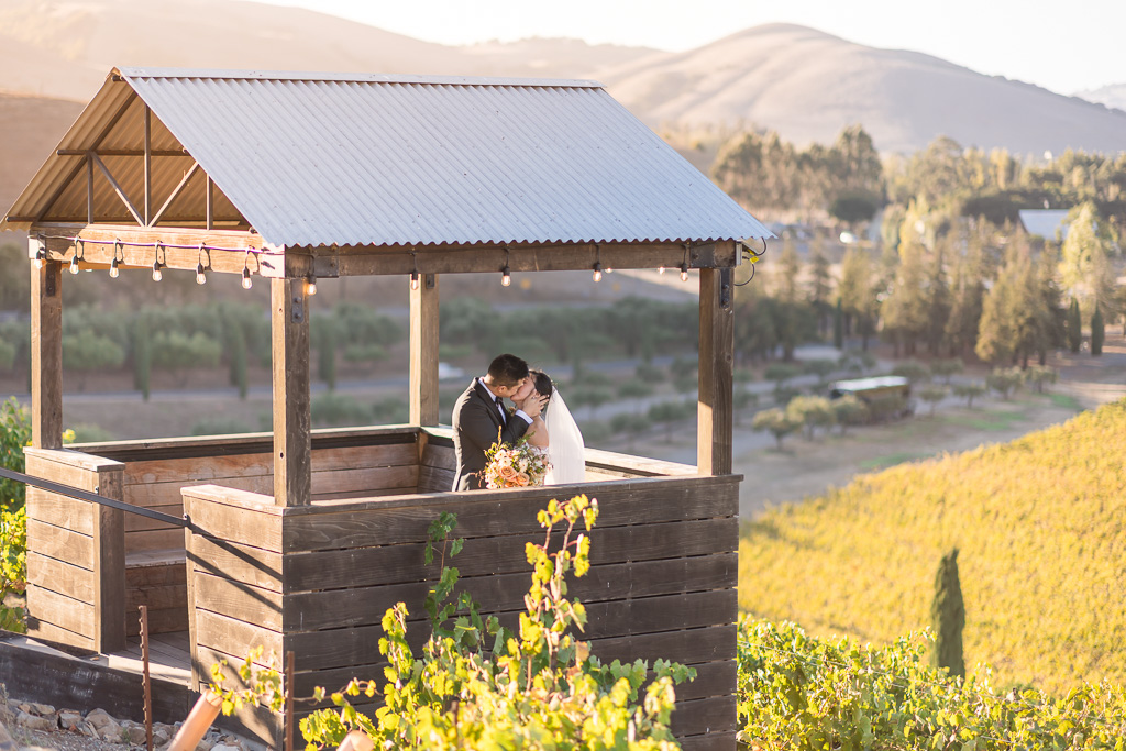 sunset wedding photos at Viansa Sonoma