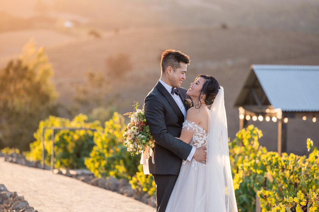 golden hour wedding portrait at the upper area of Viansa Sonoma