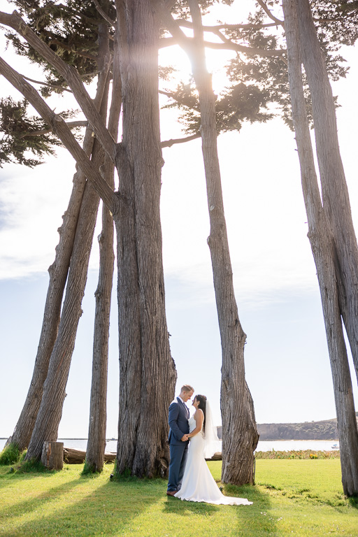 wedding photo of the couple by some tall trees at Mavericks House