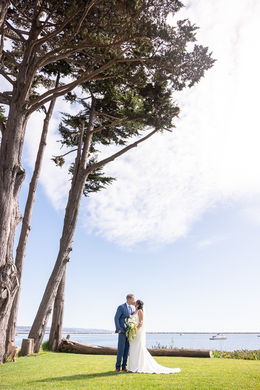 bride and groom under some tall trees