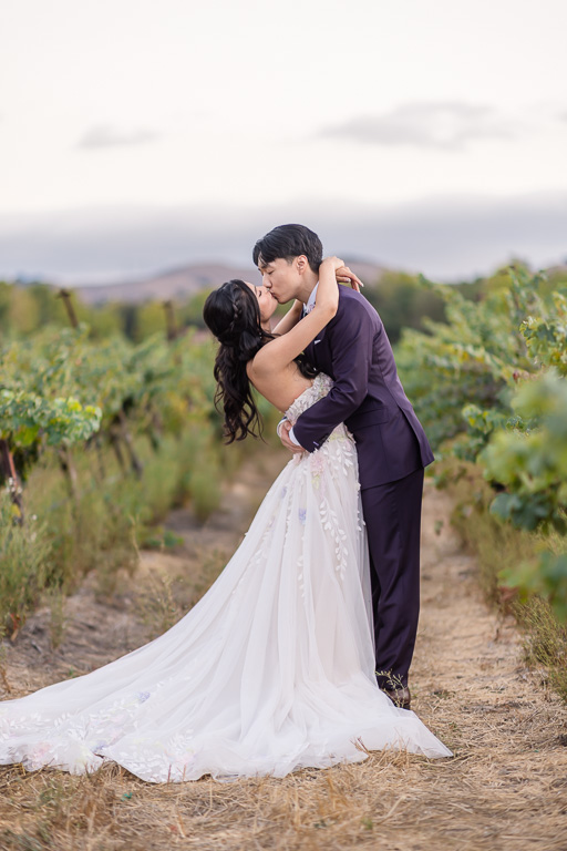 wedding portrait of Asian couple in vineyards with soft lighting