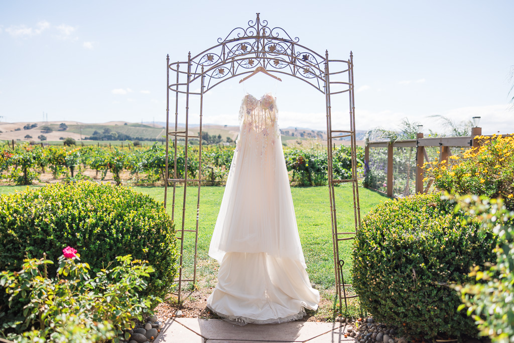 dress hanging up in a vineyard garden