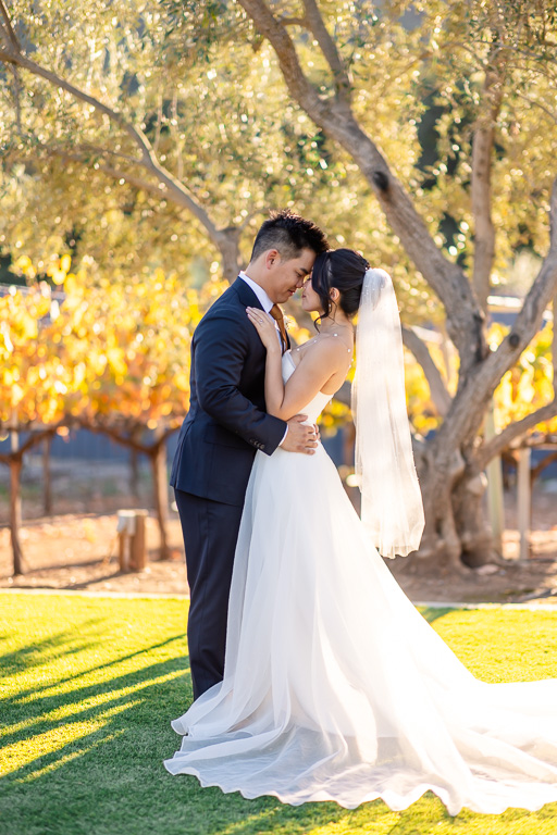 wedding photo of the bride and groom