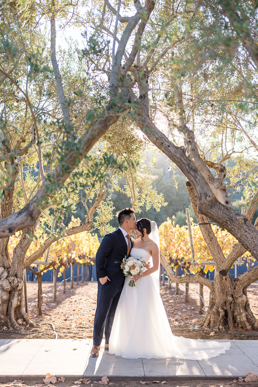 wedding portrait at MOHI Ranch