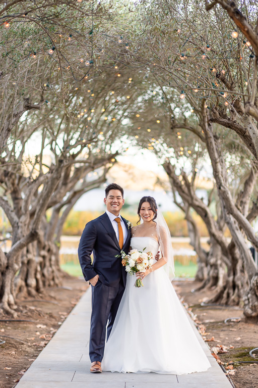 wedding photo under olive tree tunnel