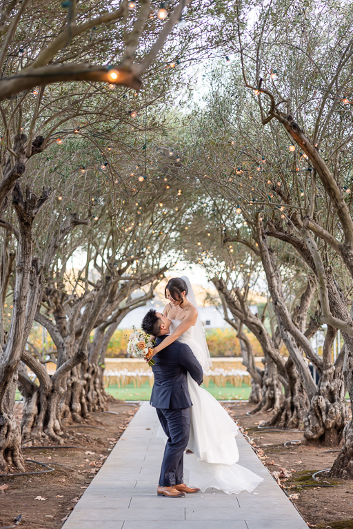 bride being picked up by the groom under an olive tree tunnel