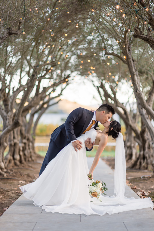 dip & kiss under olive trees