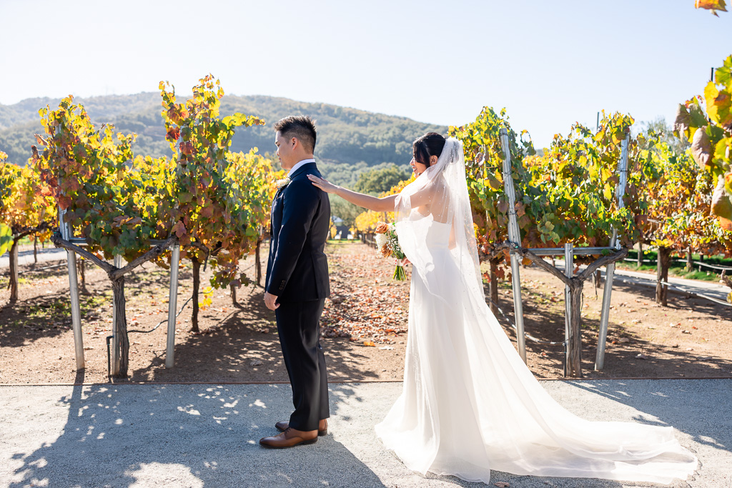 MOHI Ranch first look in the vineyards