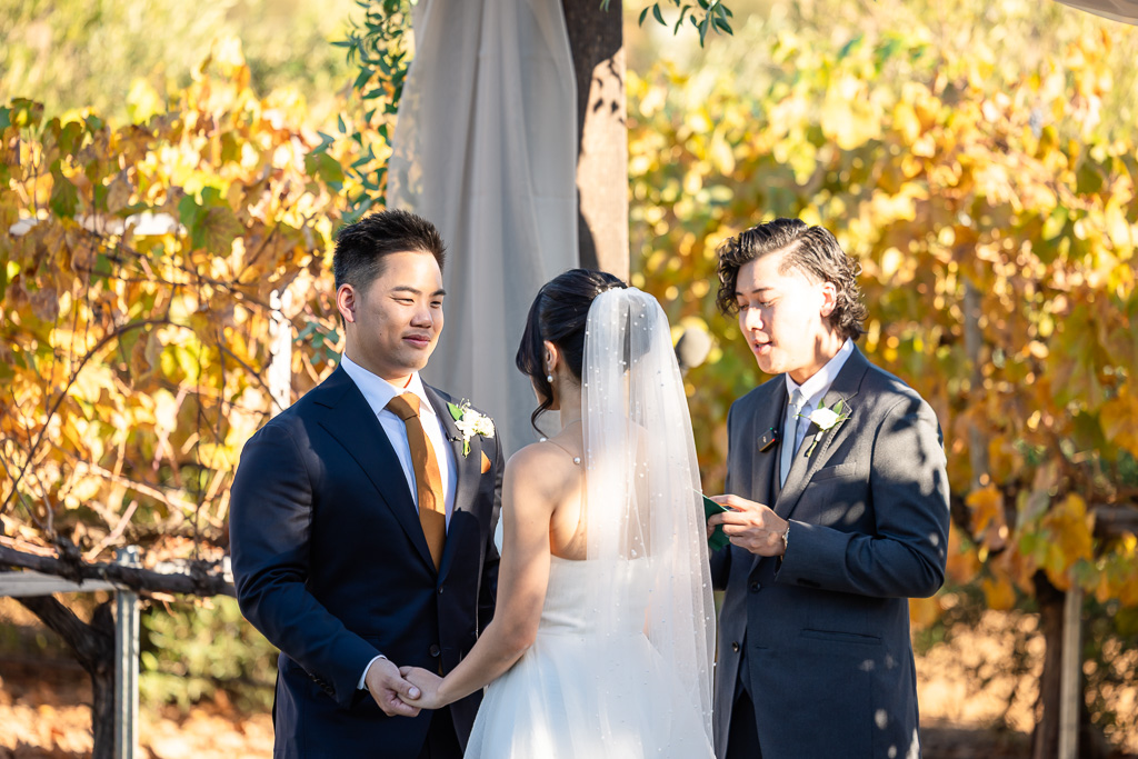 groom during ceremony