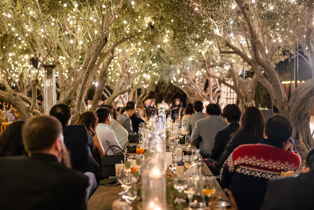 nighttime reception under the trees at MOHI Ranch