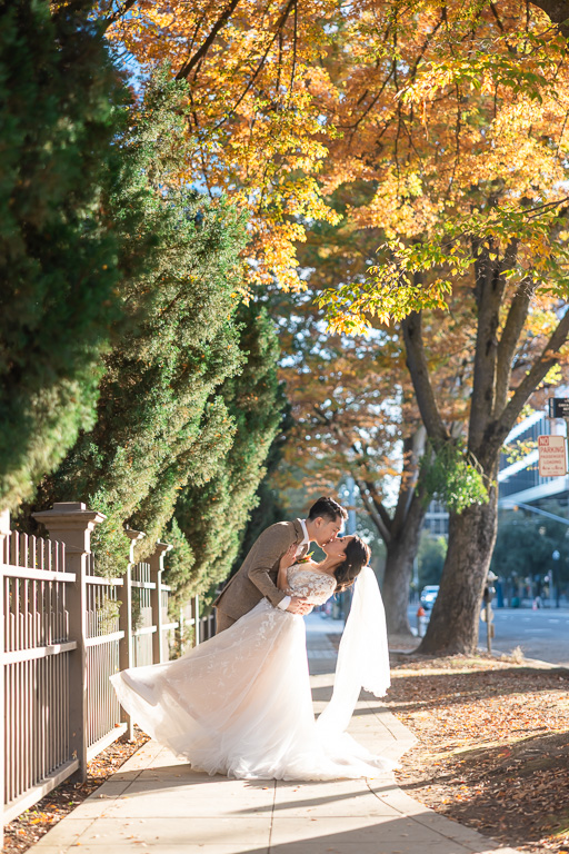 downtown Sacramento wedding photos under autumn colored leaves