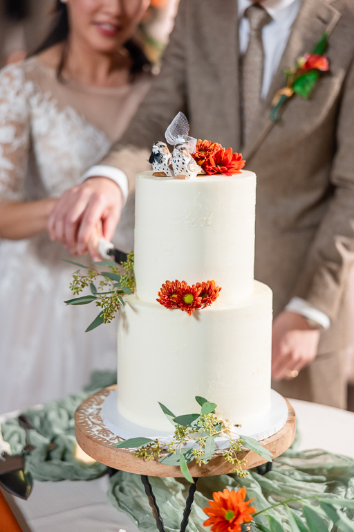 cake cutting close-up photo