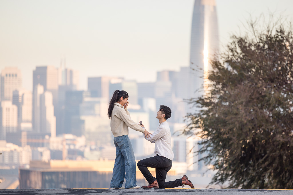Potrero Hill surprise proposal with huge city backdrop