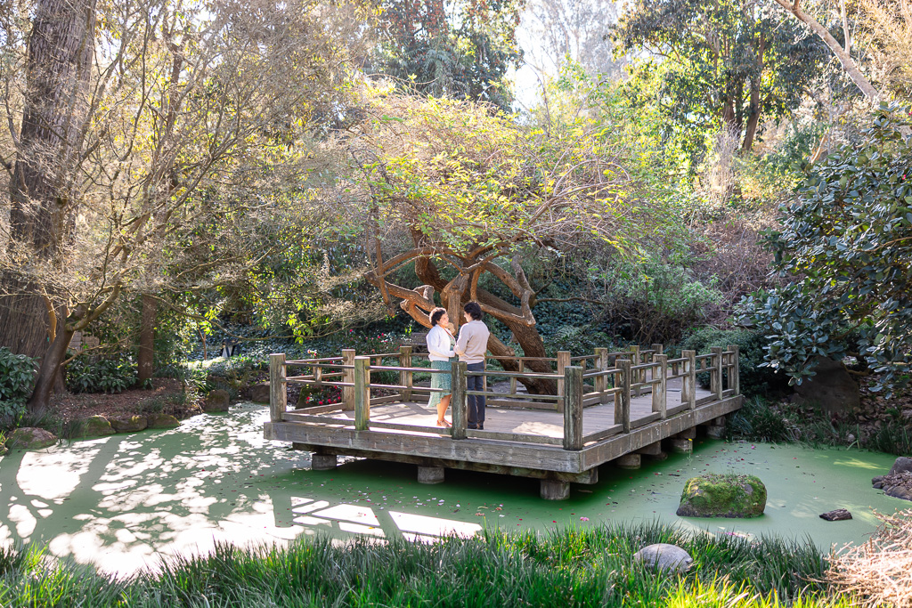 San Francisco Botanical Gardens Moon Viewing Garden in the afternoon