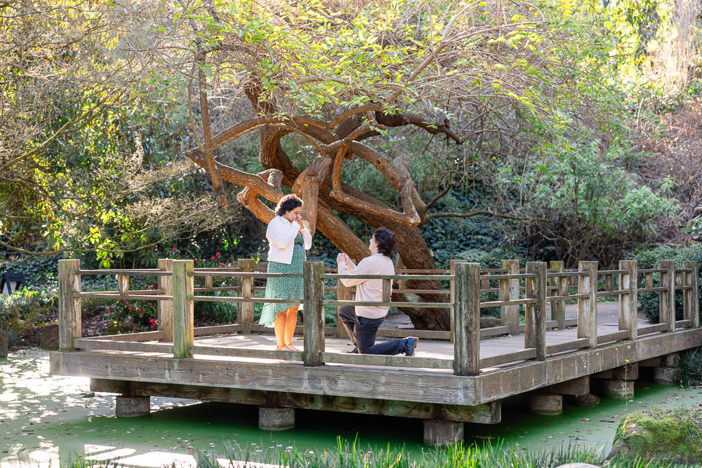 San Francisco Botanical Garden Moon Viewing Garden surprise proposal