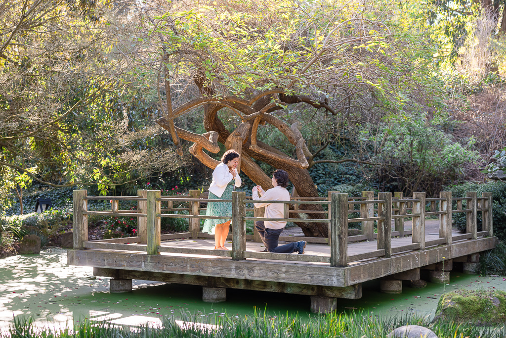 SF Botanical Gardens surprise proposal on the Moon Viewing Garden platform