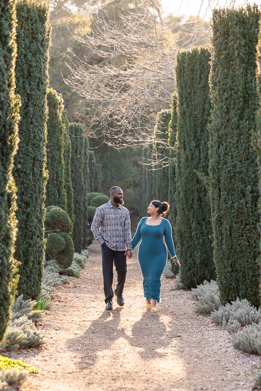 engagement photos at Filoli Gardens between tall shrubs