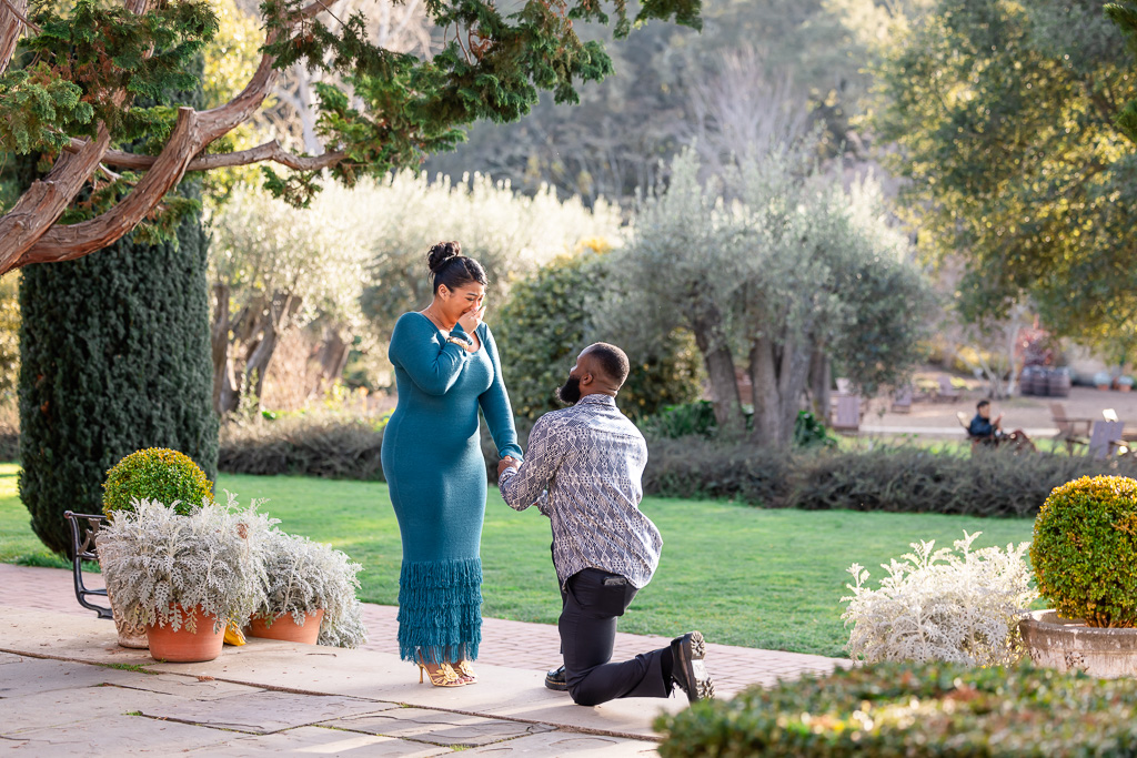 surprise proposal at Filoli Gardens