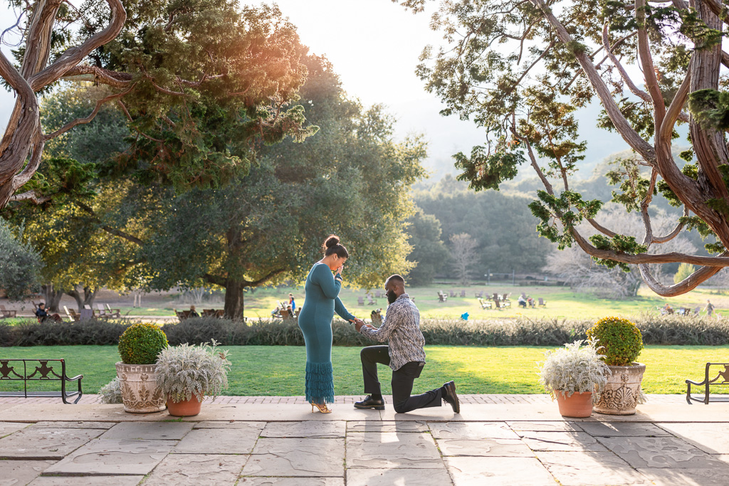 Filoli Gardens surprise marriage proposal