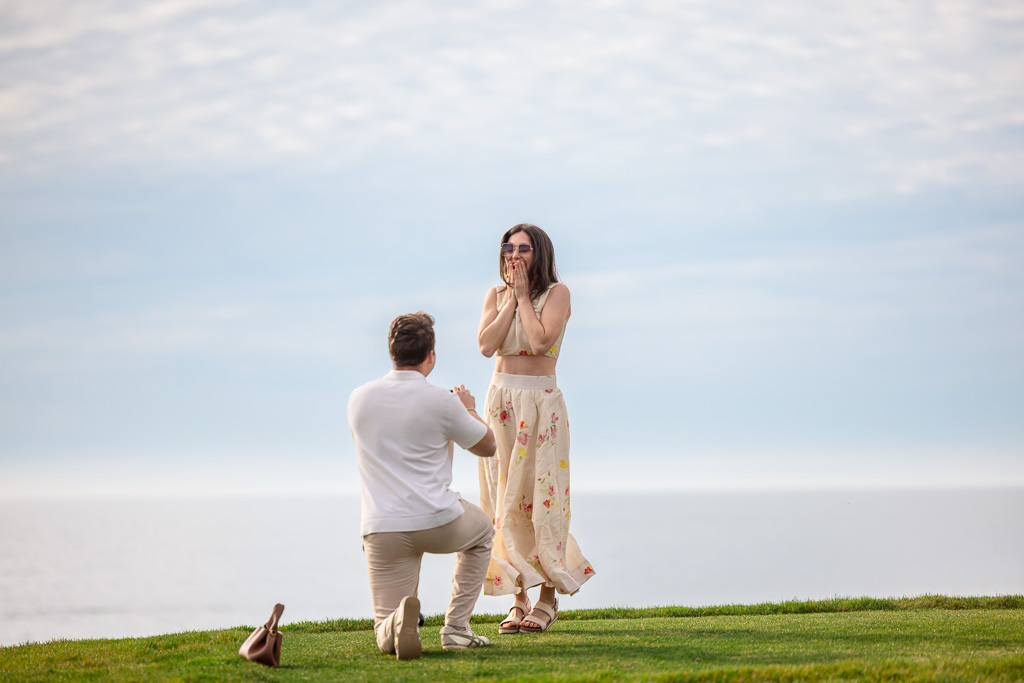 idyllic grassy lawn proposal