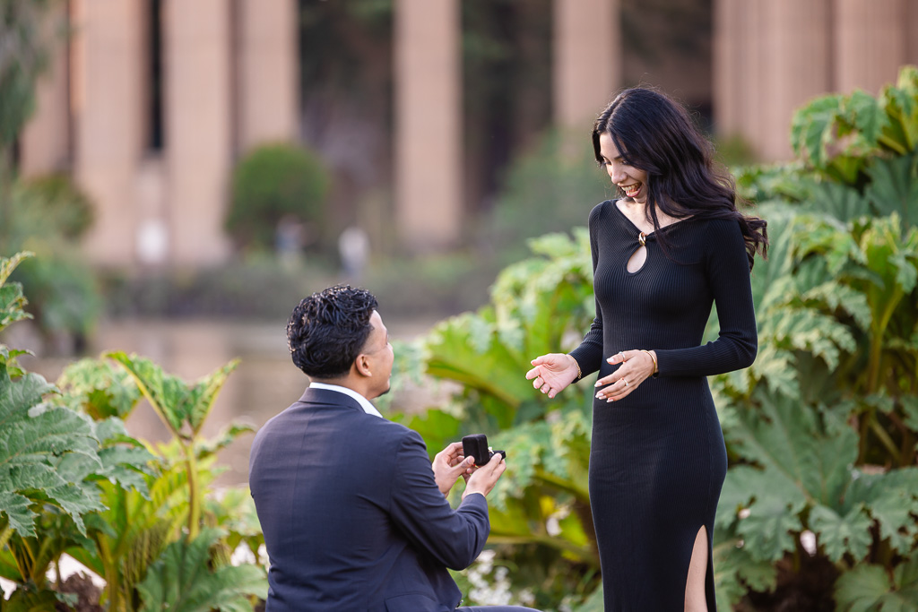 surprise proposal at the Palace of Fine Arts