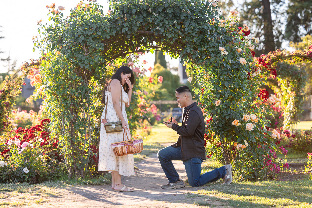 San Jose Municipal Rose Garden marriage proposal at rose arch