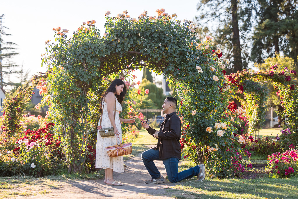 San Jose Municipal Rose Garden floral arch surprise proposal