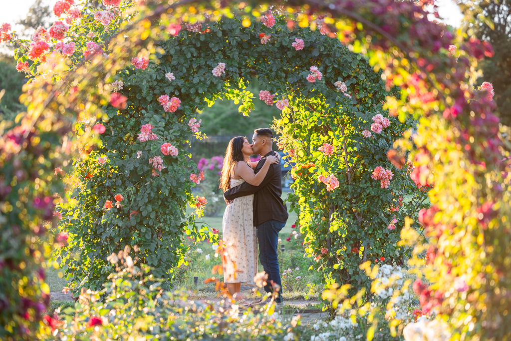 engagement photos under rose arches