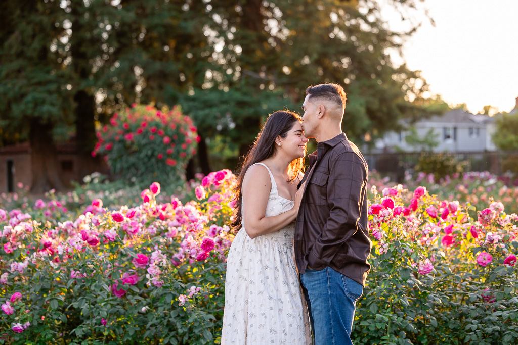 golden hour engagement photos at the San Jose Municipal Rose Garden