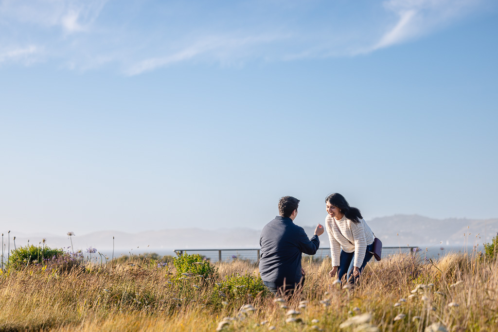SF Presidio surprise proposal
