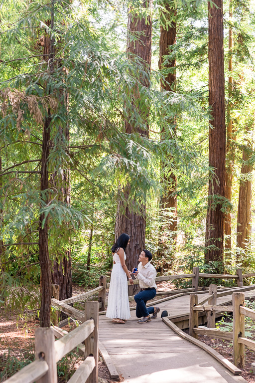 surprise proposal at Redwood Grove Nature Preserve