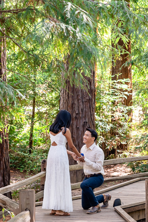 Redwood Grove Nature Preserve surprise proposal