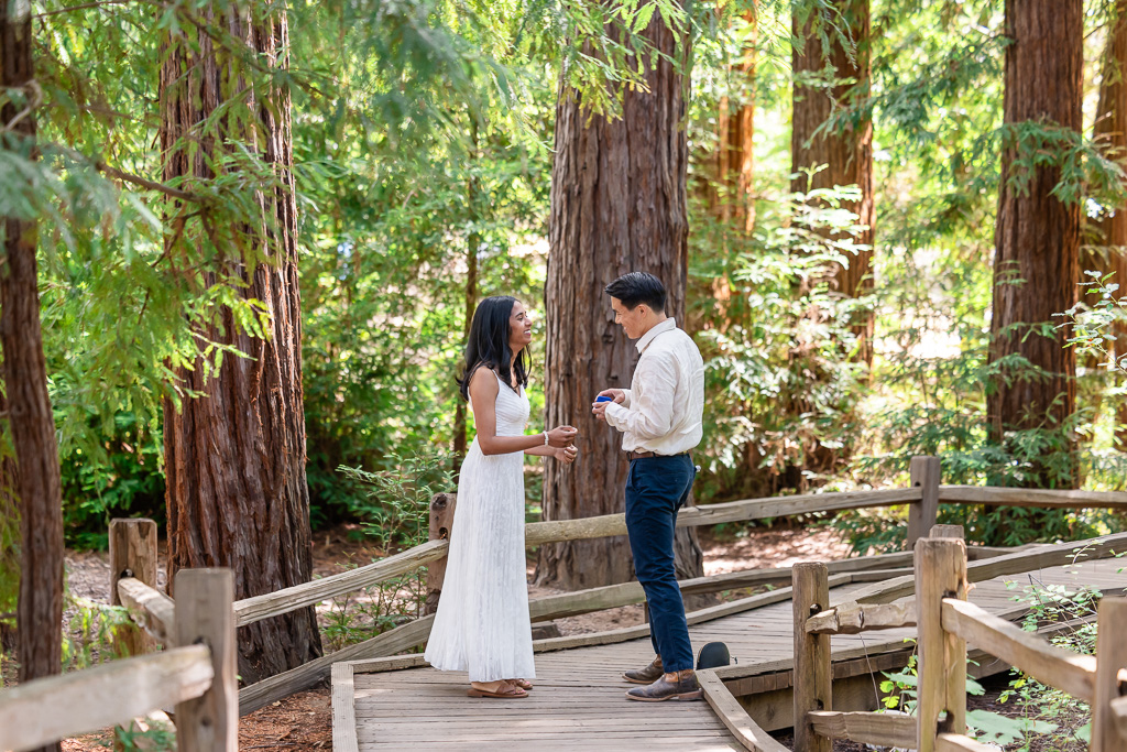 couple on wooden boardwalk in a redwood park
