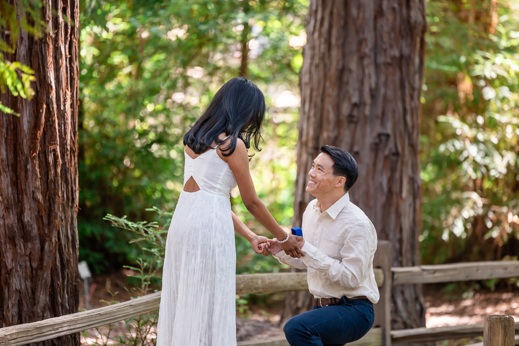 kneeling down for proposal moment in redwoods in Los Altos