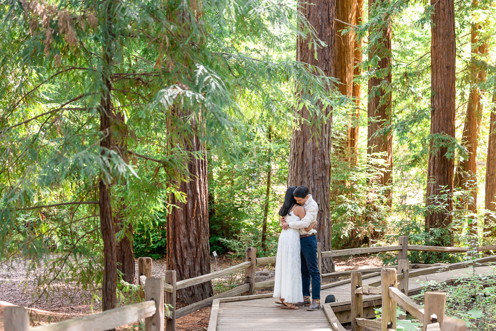 a quiet engagement moment in the redwood forest