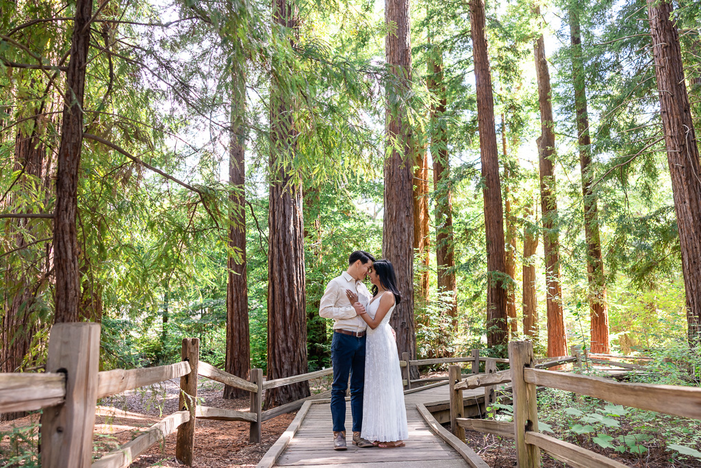 engagement photos at Surprise Proposal at Redwood Grove Nature Preserve