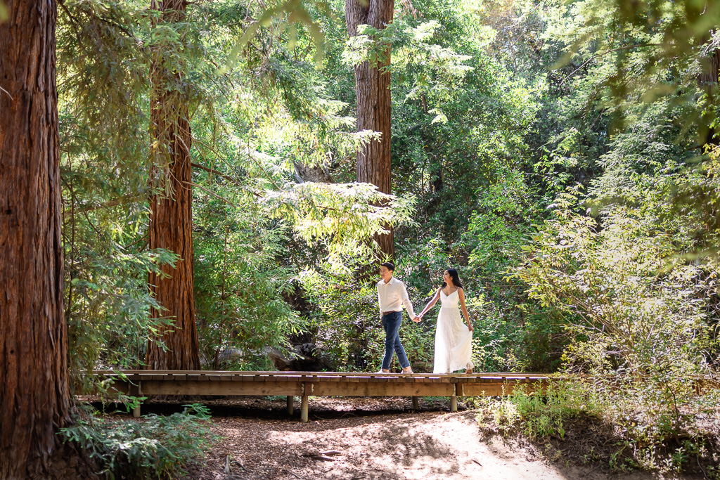redwood forest engagement photo shoot