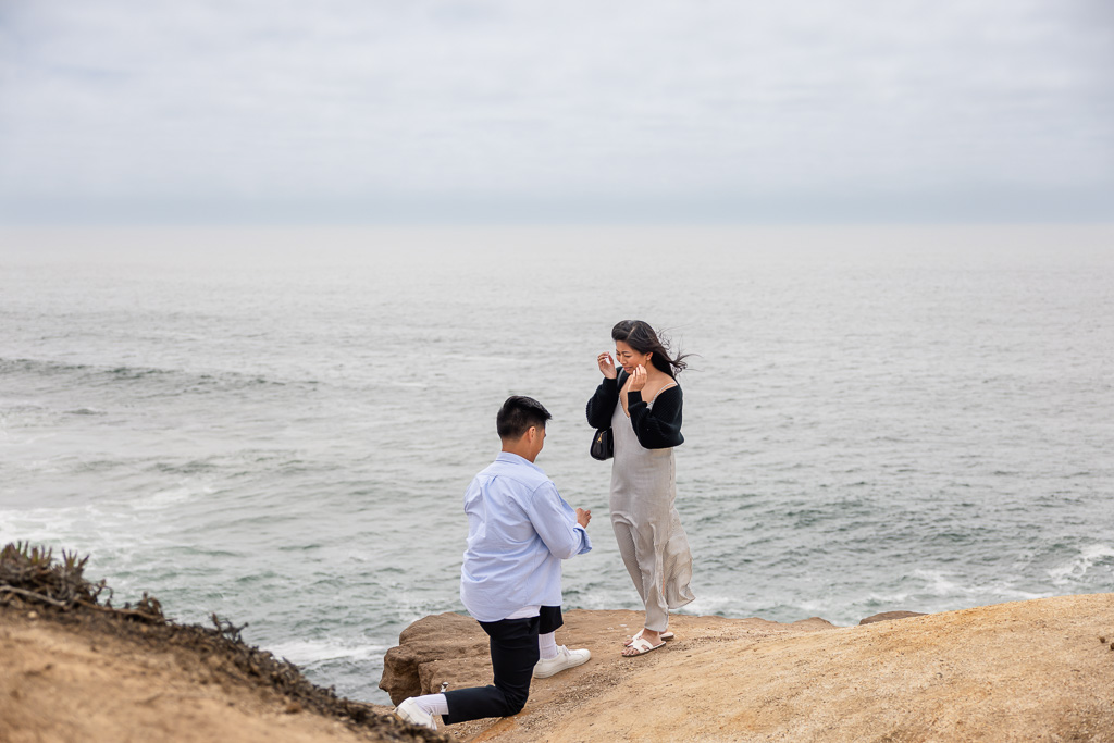 oceanside proposal