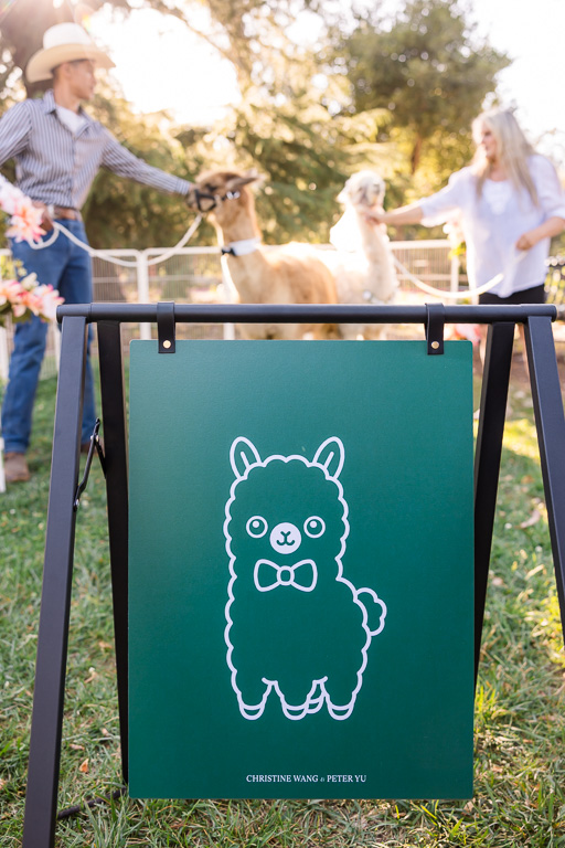 cute wedding signage with cartoonish alpaca drawn on it