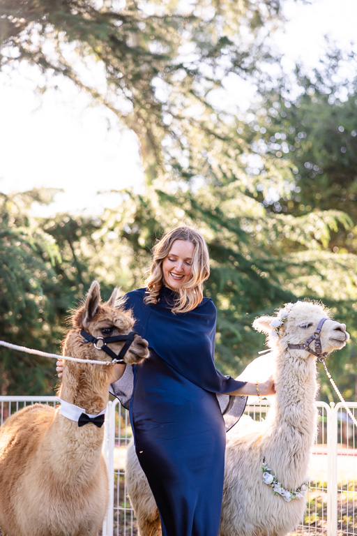 wedding guest posing for pics with live alpacas