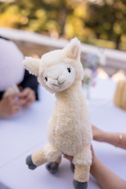 a stuffed llama