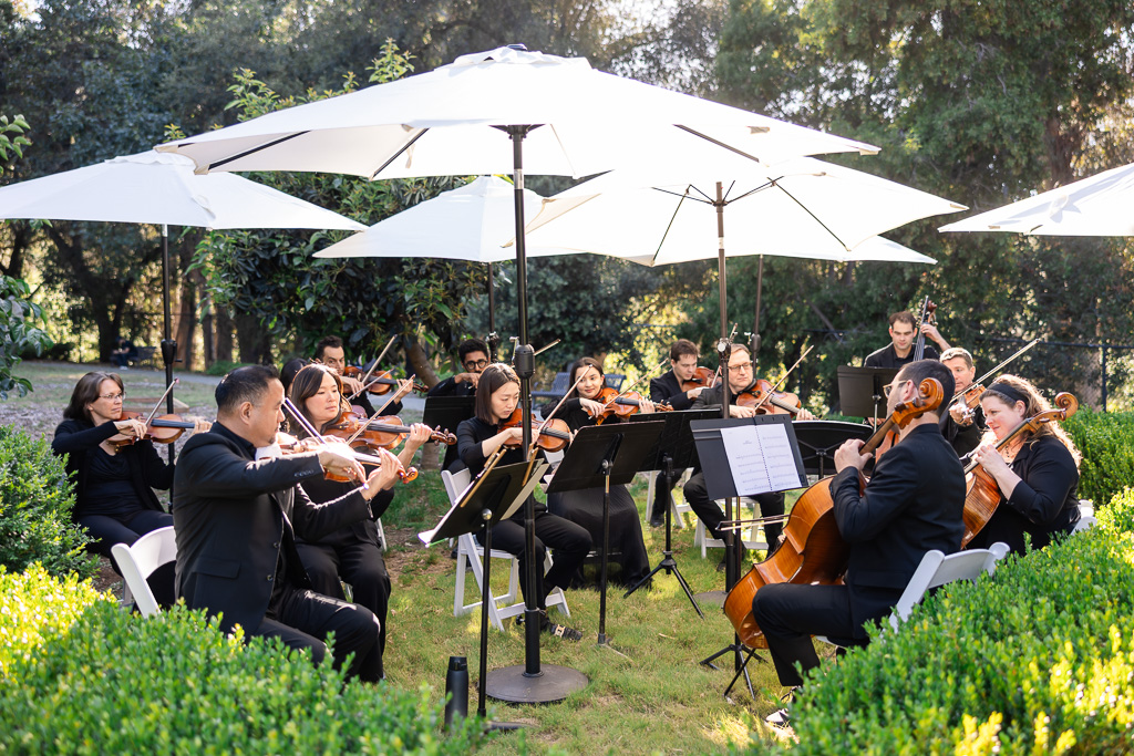 string ensemble orchestra performing in the garden