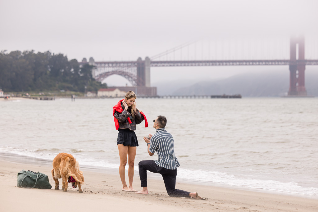 Crissy Field surprise proposal with dog