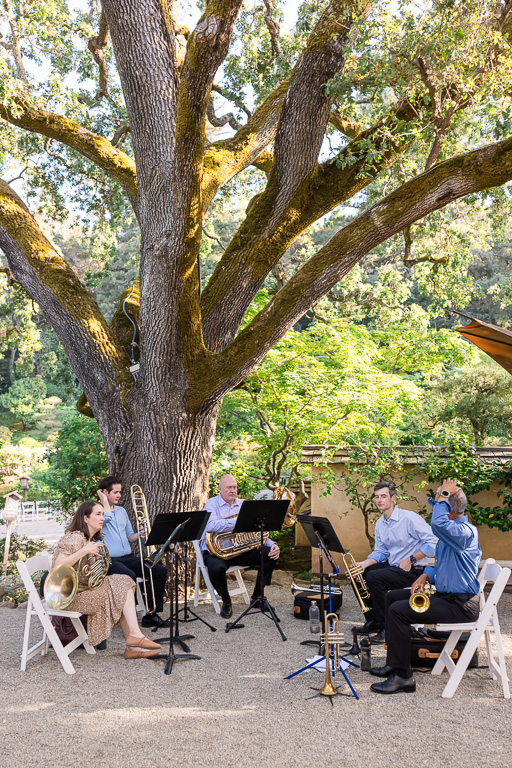 live musicians