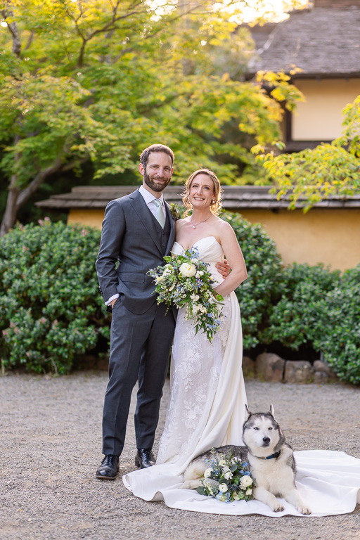 golden hour photos of the bride, groom, and their dog at Hakone Gardens