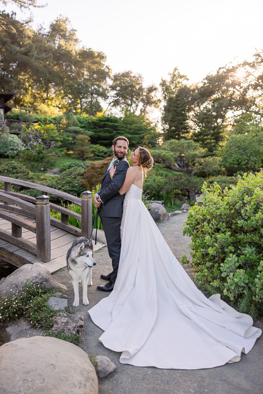 cute photo of the bride and groom and Husky