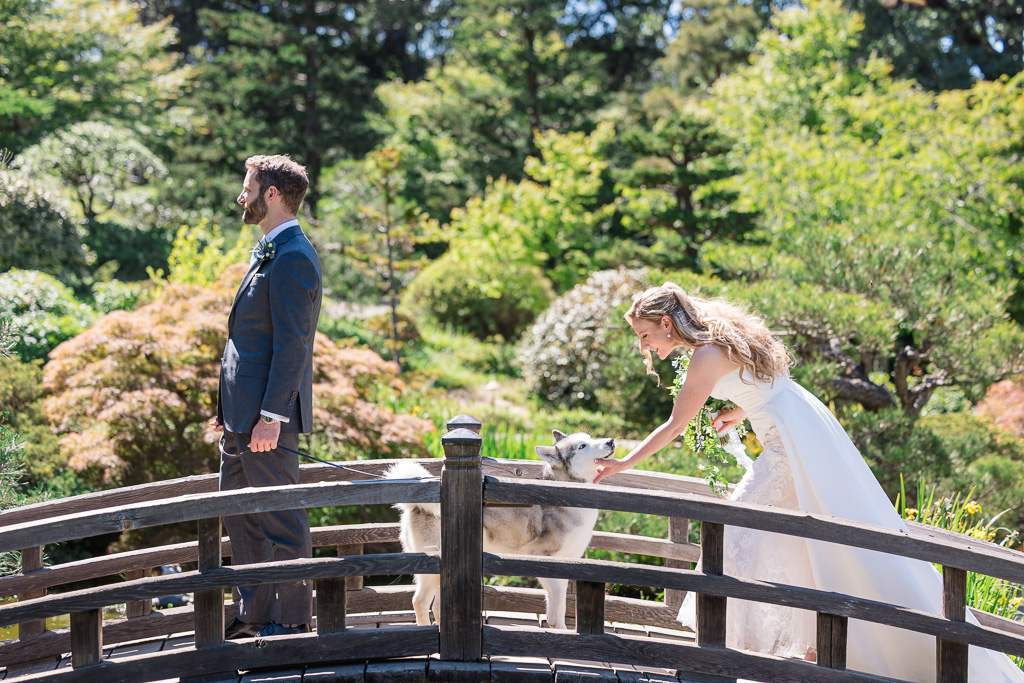 an adorable first look moment between the bride and her dog at Hakone Gardens