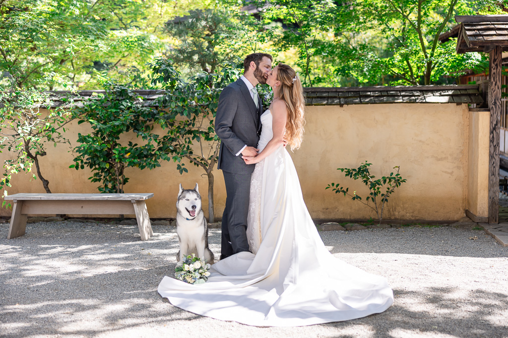bride, groom, Husky