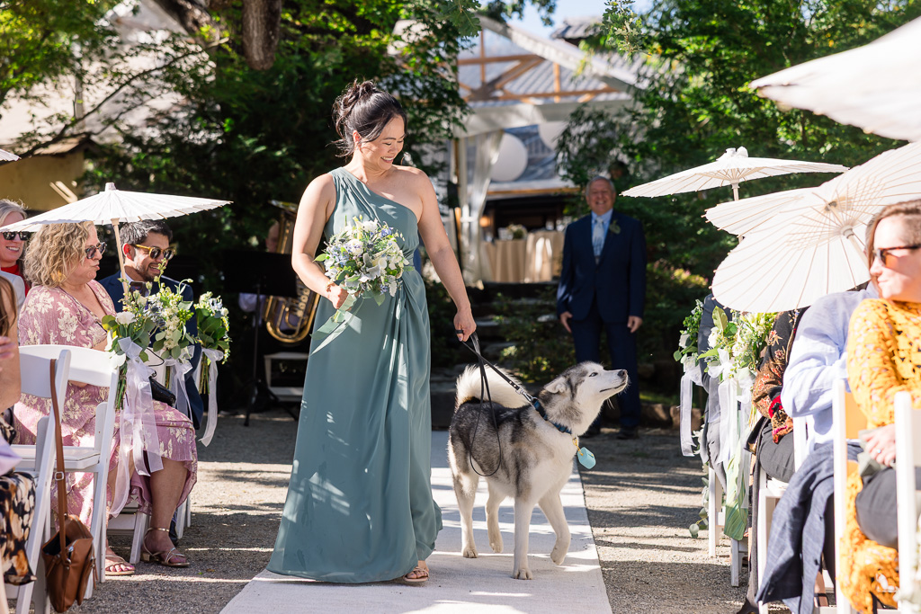 bridesmaid walking dog down the aisle
