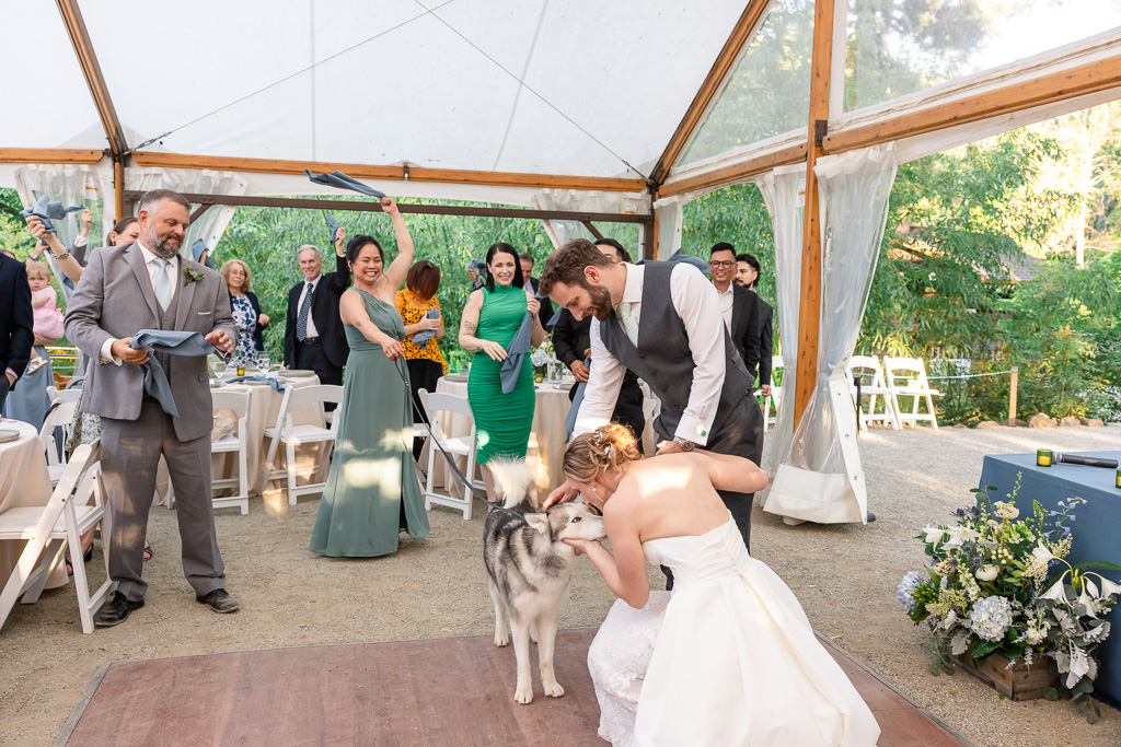 bride and groom entering the reception and giving their dog a kiss